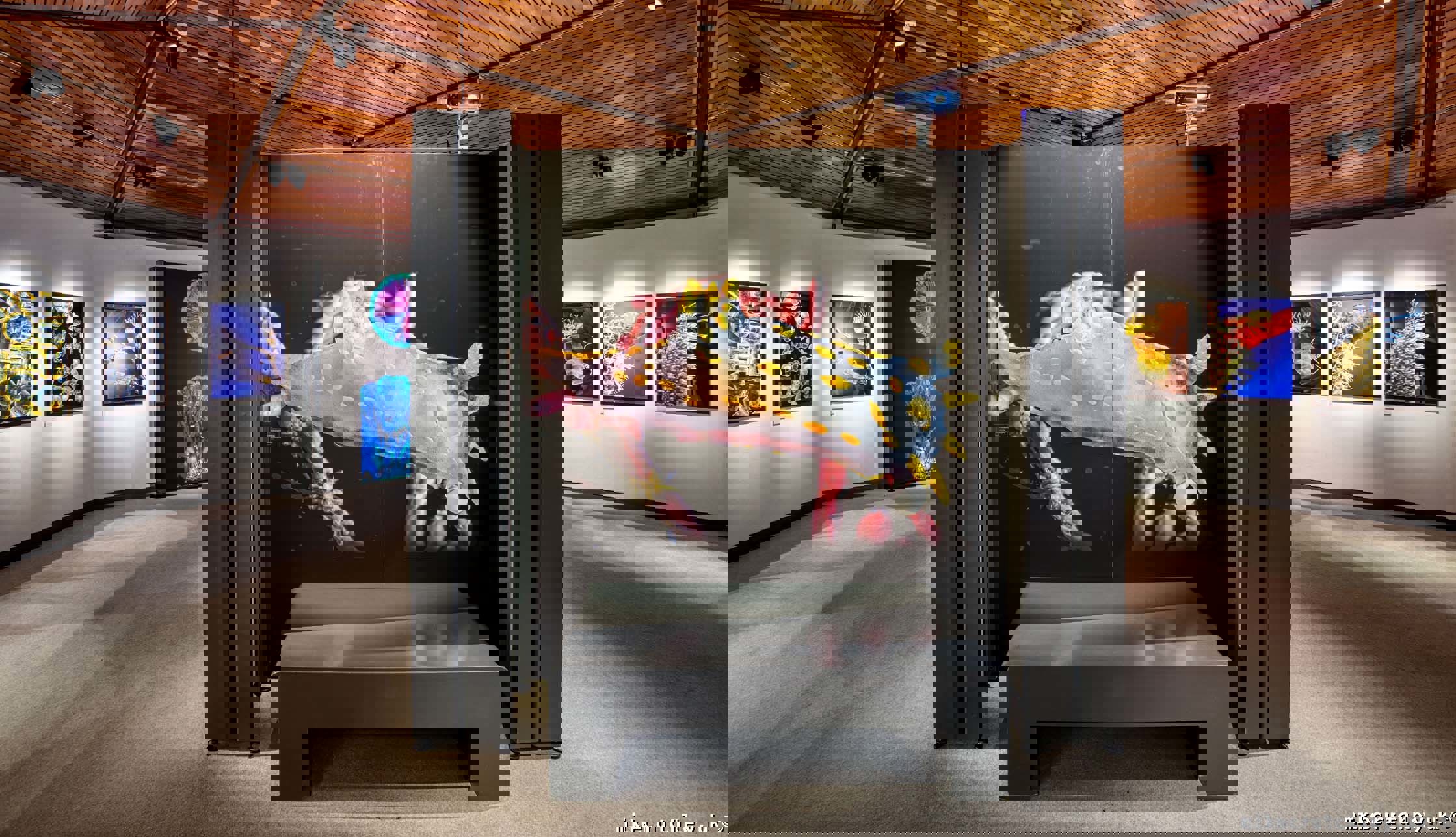 Large Marine print with seat