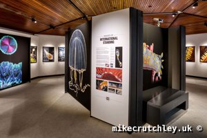 Centre Stand - International Standing