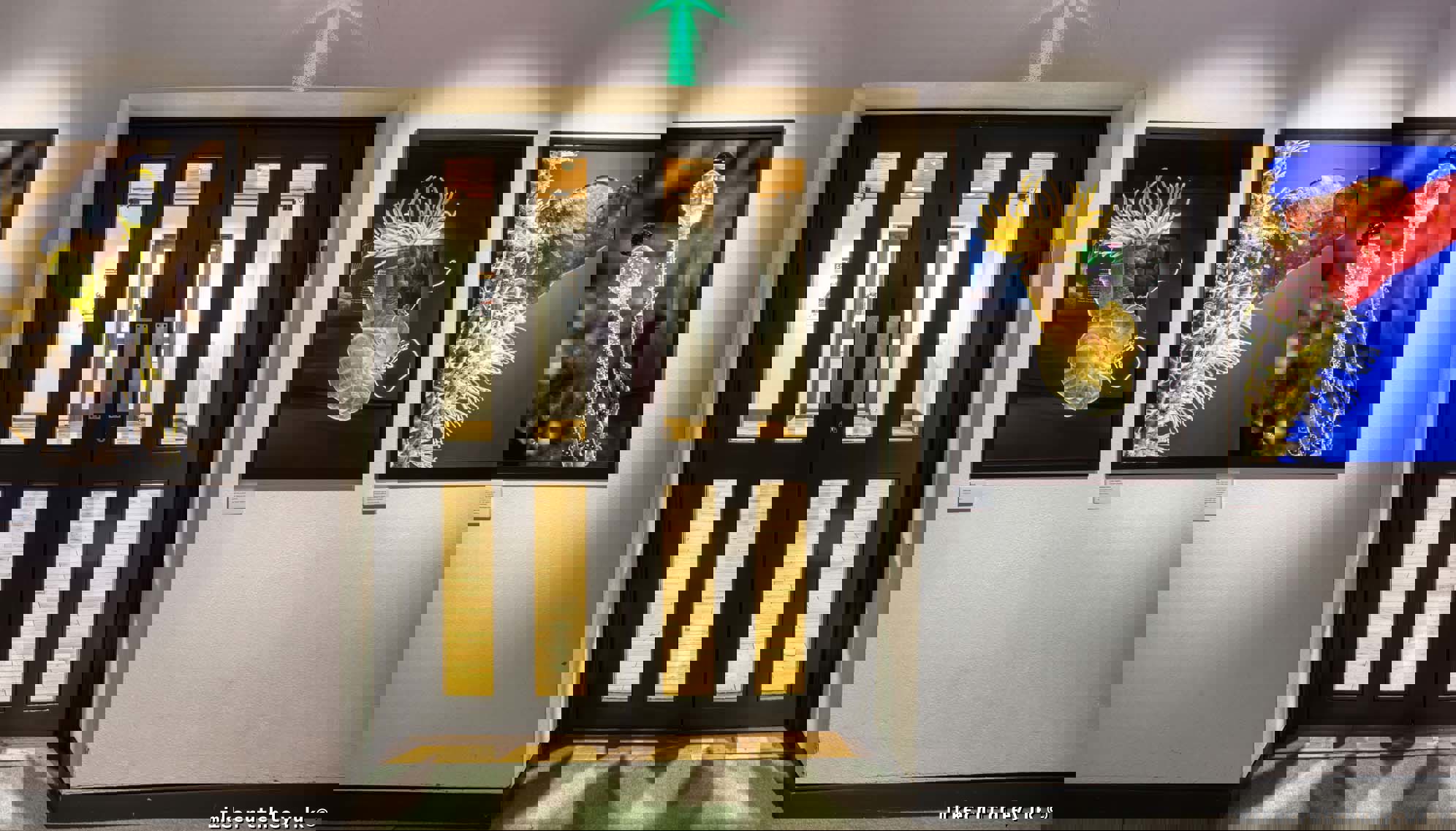 Exhibition entrance doors