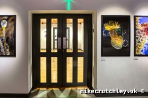 Exhibition entrance doors
