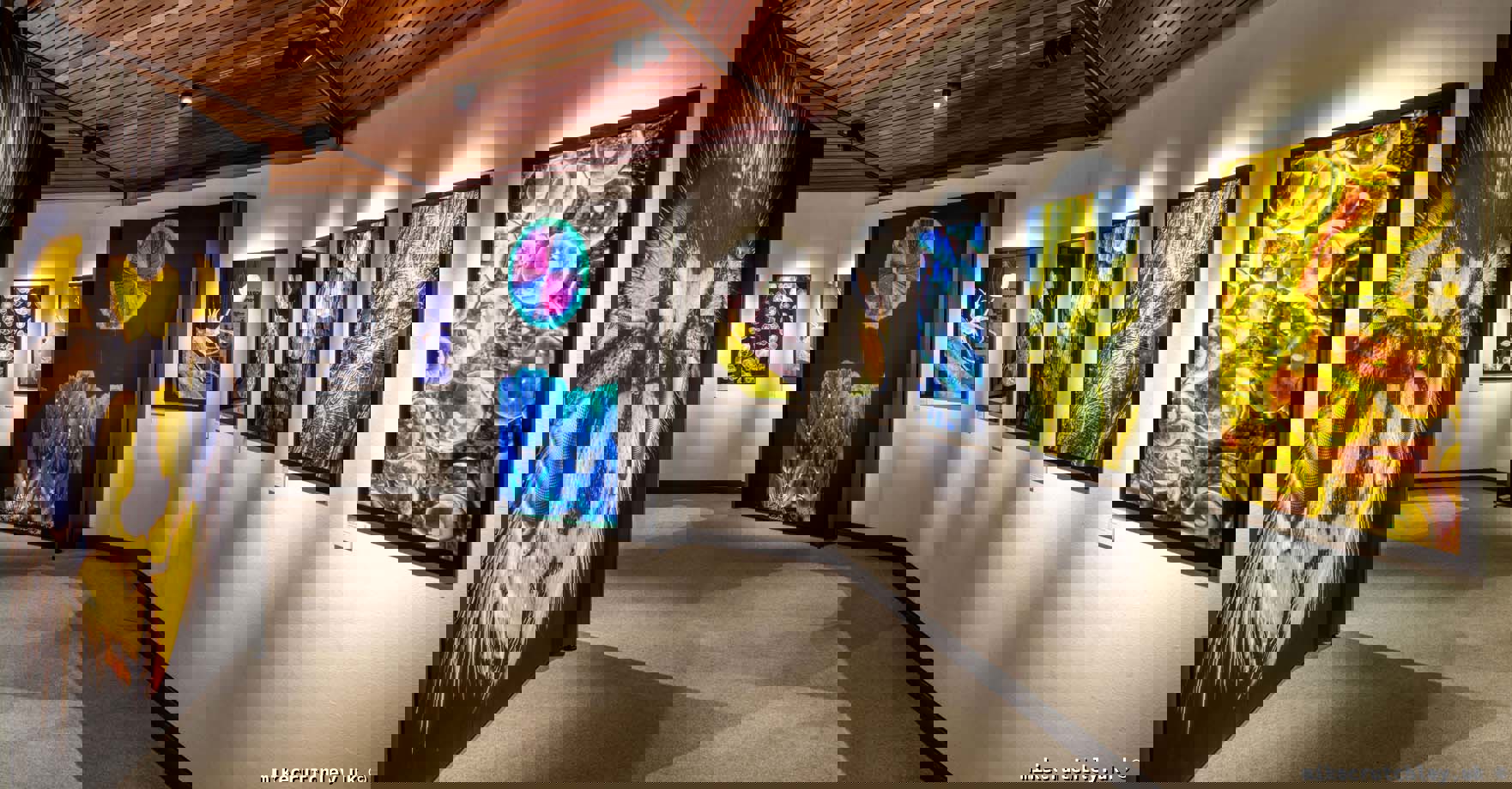 Bee and Butterfly prints