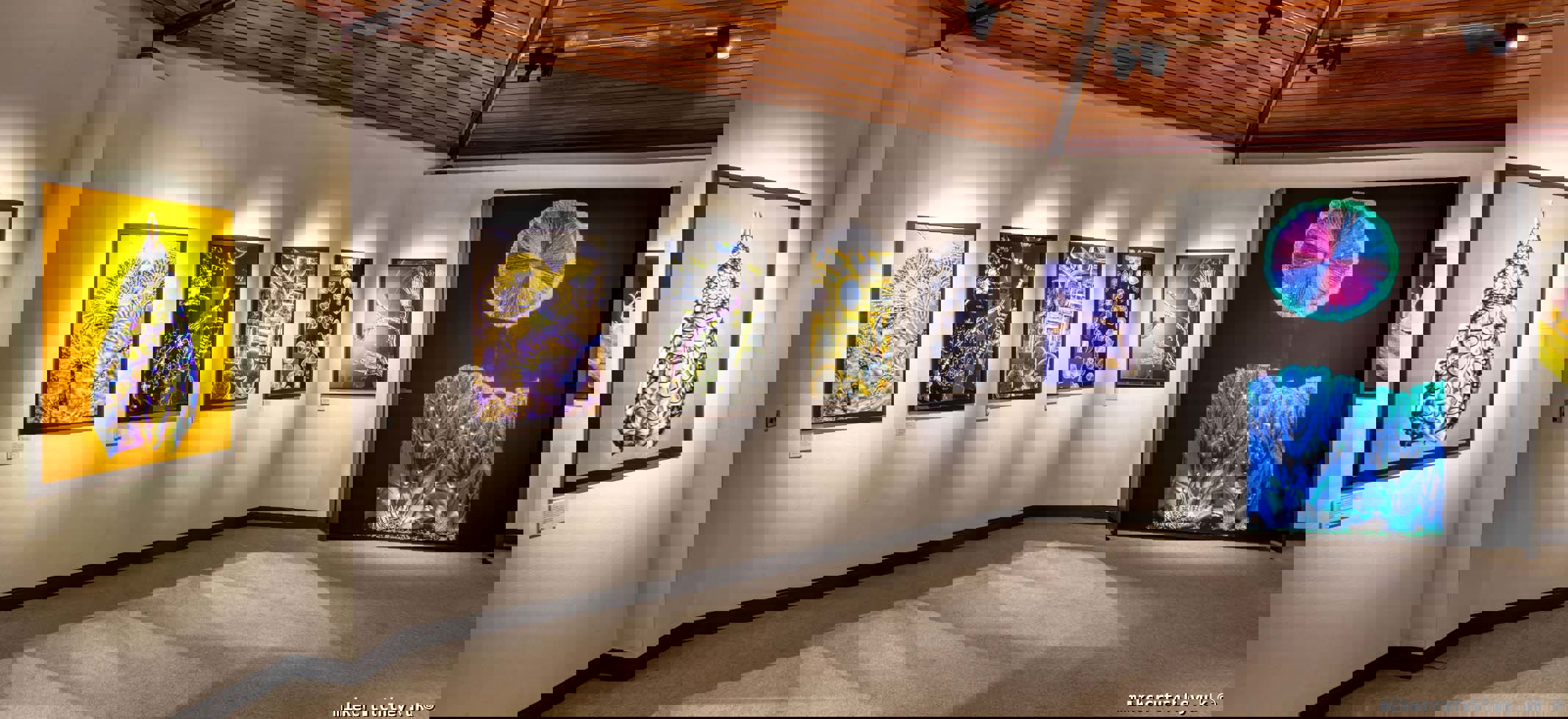 Diatom and Crystal prints