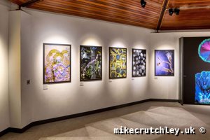 Diatom and Crystal prints