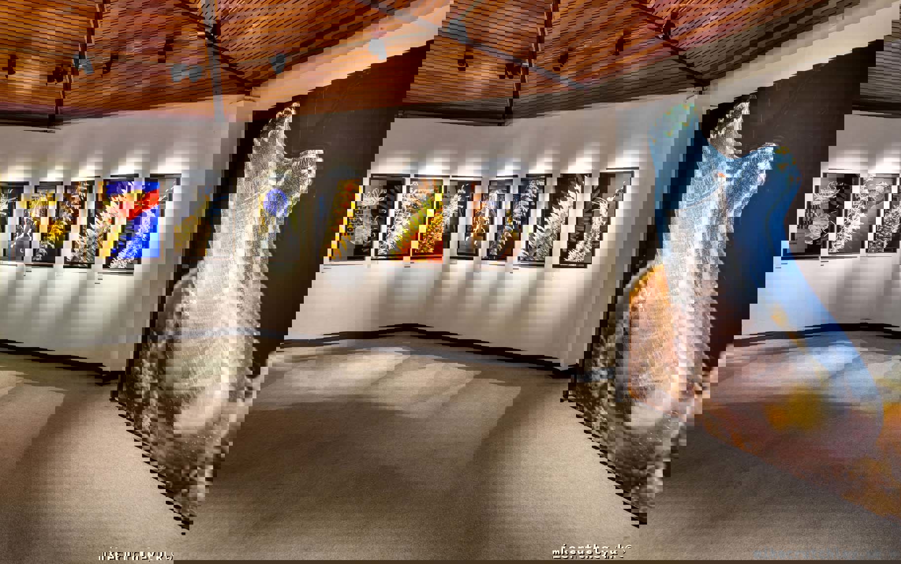 Looking at back wall