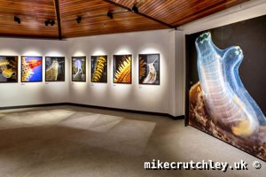 Looking at back wall