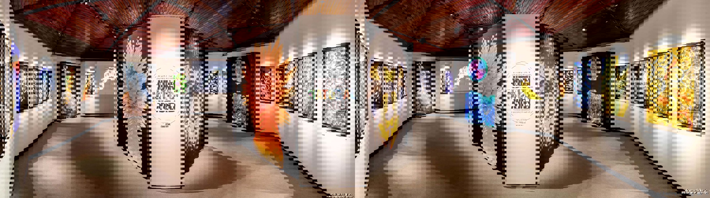 Exhibition Panorama