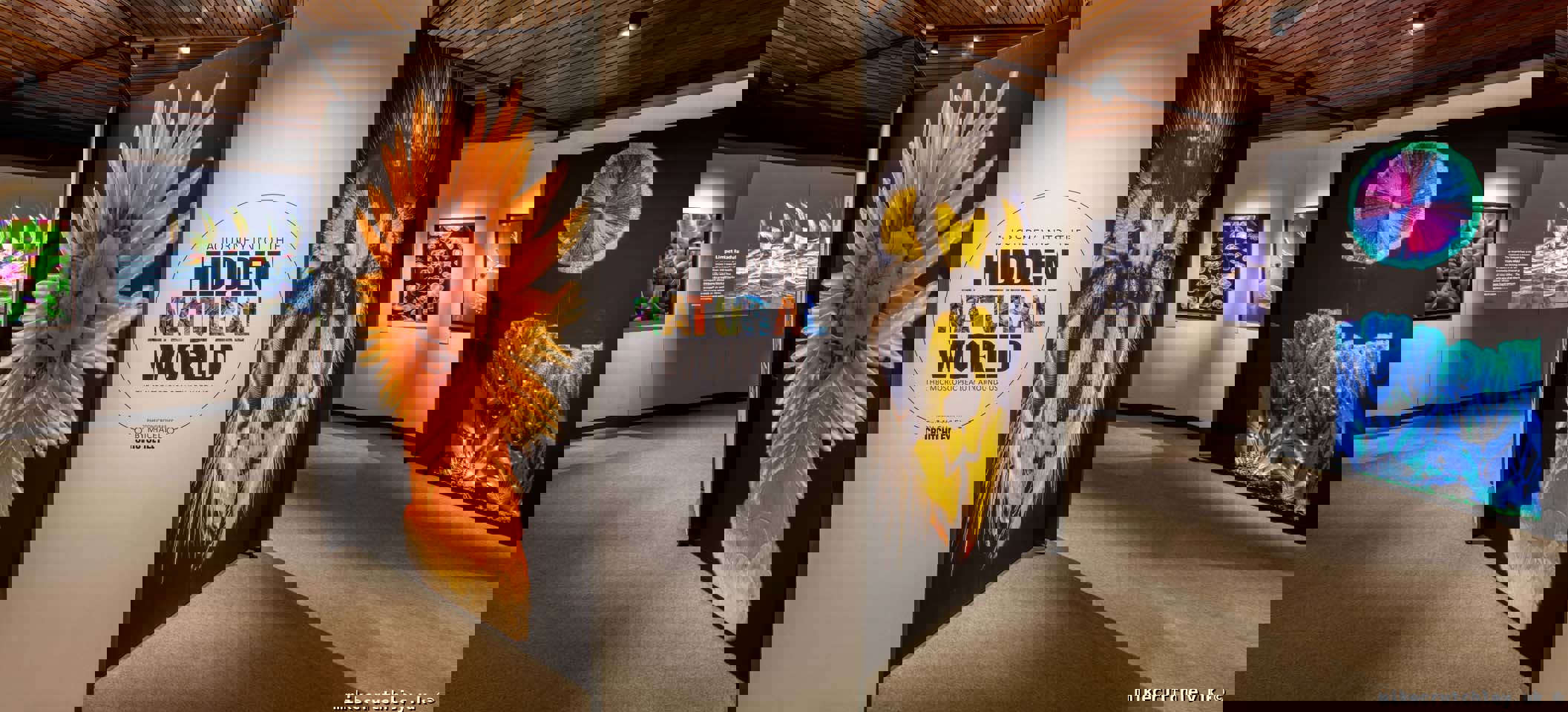 Centre Stand - Hidden Natural World