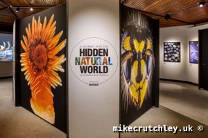 Centre Stand - Hidden Natural World